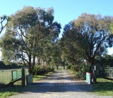 Make sure your driveway is clear of trees and other obstructions